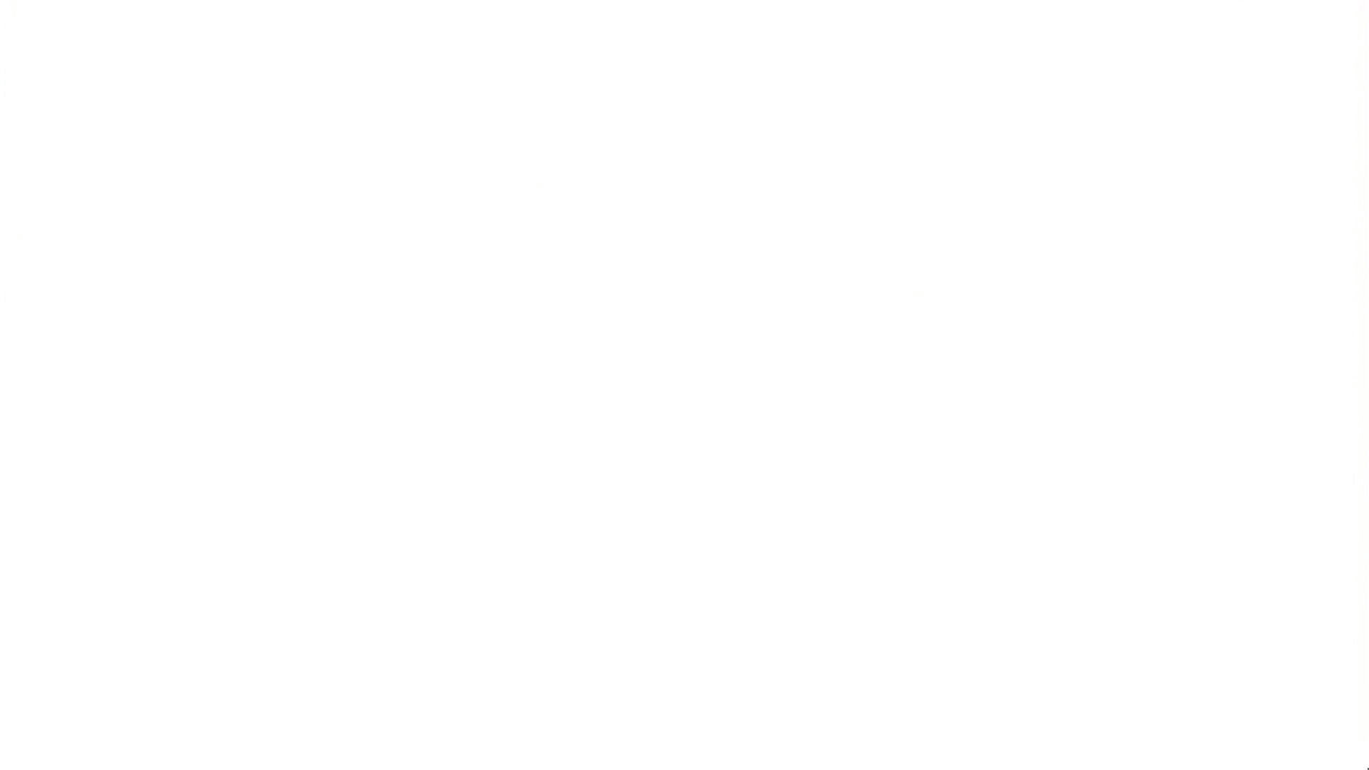 Northmark Group Animated Logo